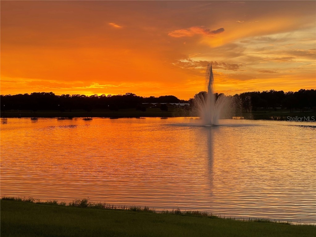 2894 Sand Oak Loop Apopka FL 32712 O6363849 image70