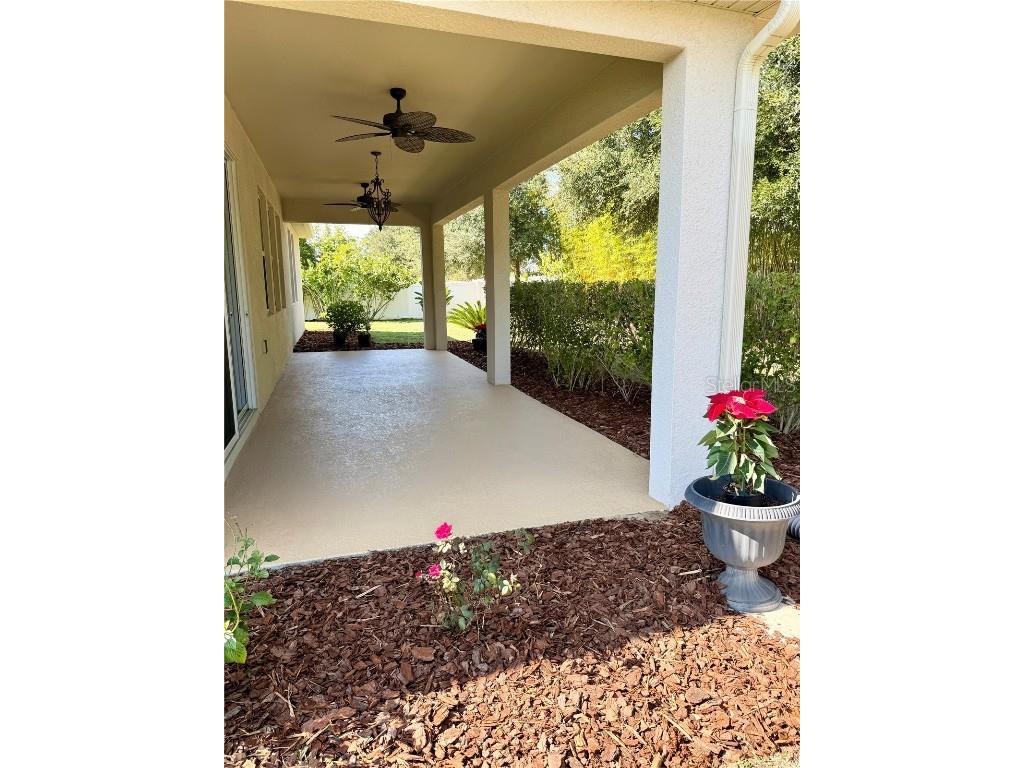 2894 Sand Oak Loop Apopka FL 32712 O6363849 image8