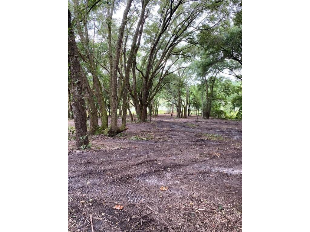 28946 SE 175th Place Umatilla FL 32784 S5081845 image1