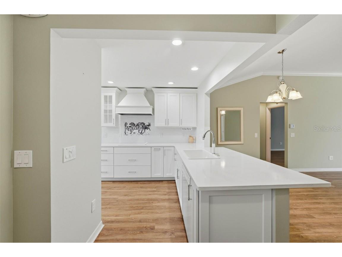 2895 Apache Court The Villages FL 32163 O6321085 image12