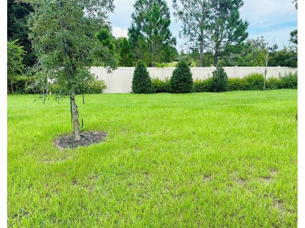 2895 Narcoossee Commons Way Saint Cloud FL 34771 O6322084 image10