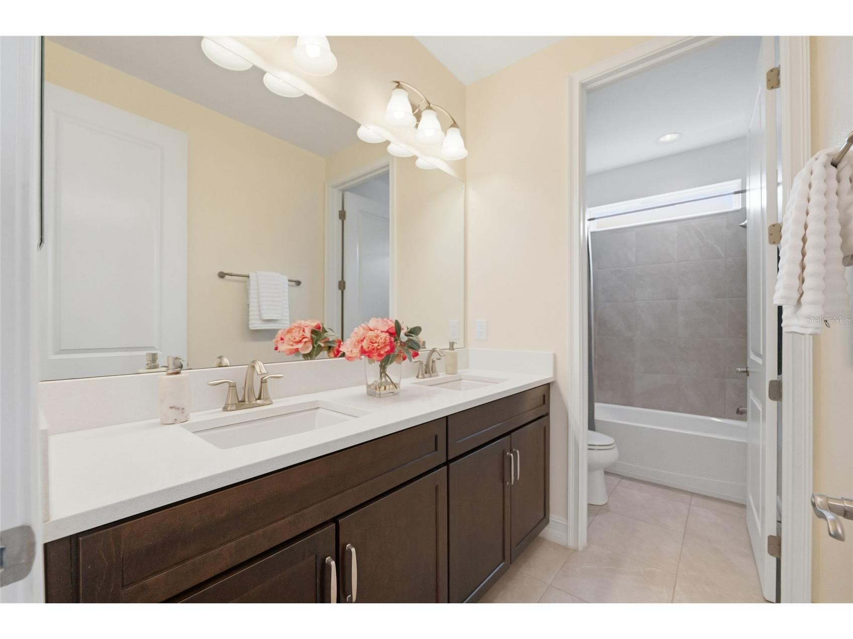 28953 Trevi Place Wesley Chapel FL 33543 TB8515831 image21