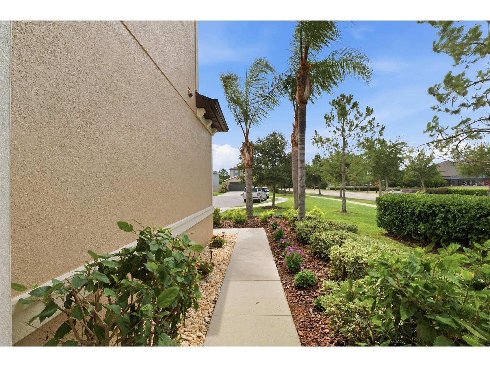 28953 Trevi Place Wesley Chapel FL 33543 TB8515831 image25
