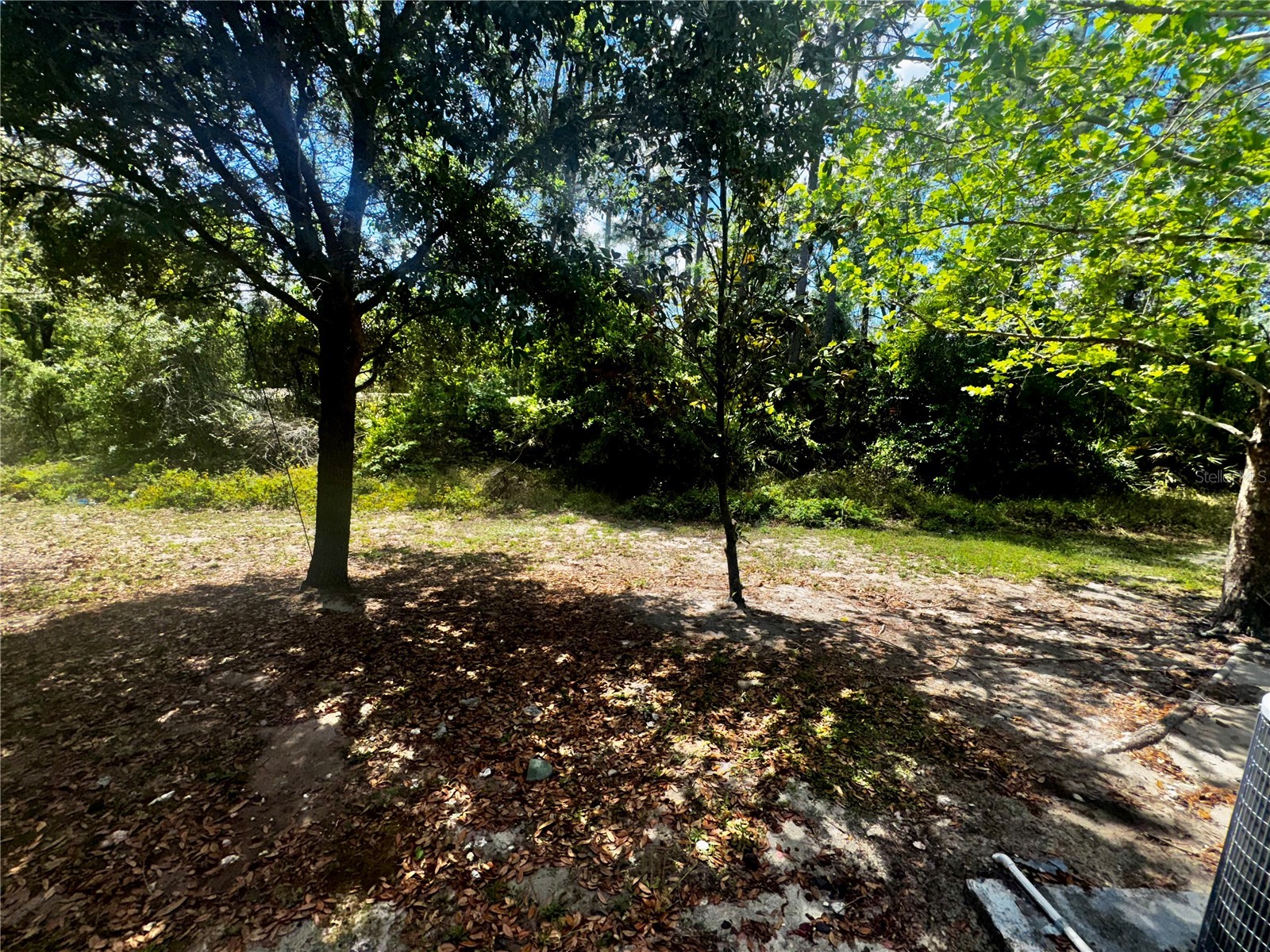 2896 Tanzanite Terrace Kissimmee FL 34758 O6378717 image17