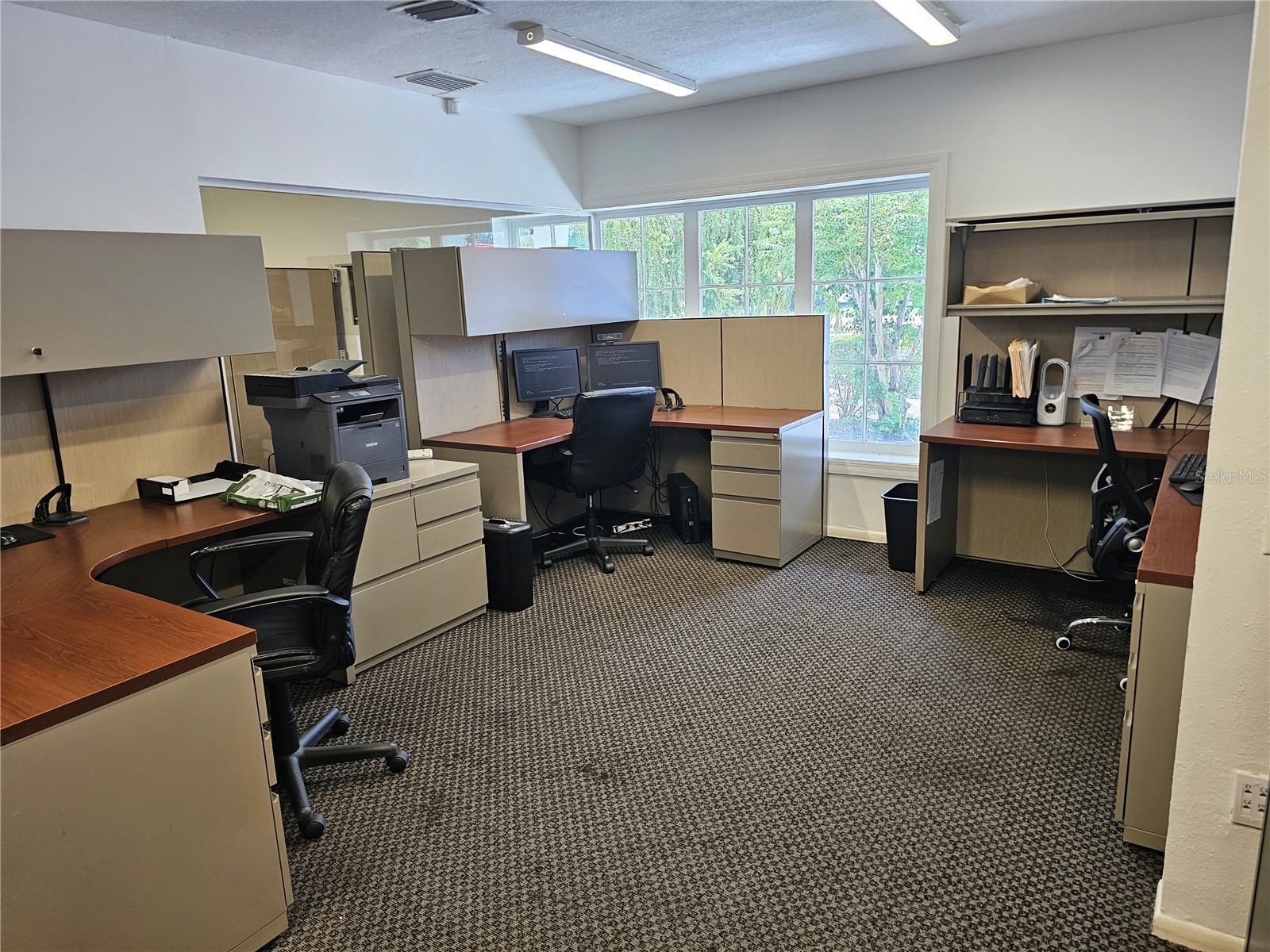 28960 Us Highway 19 N #102 Clearwater FL 33761 TB8525823 image3
