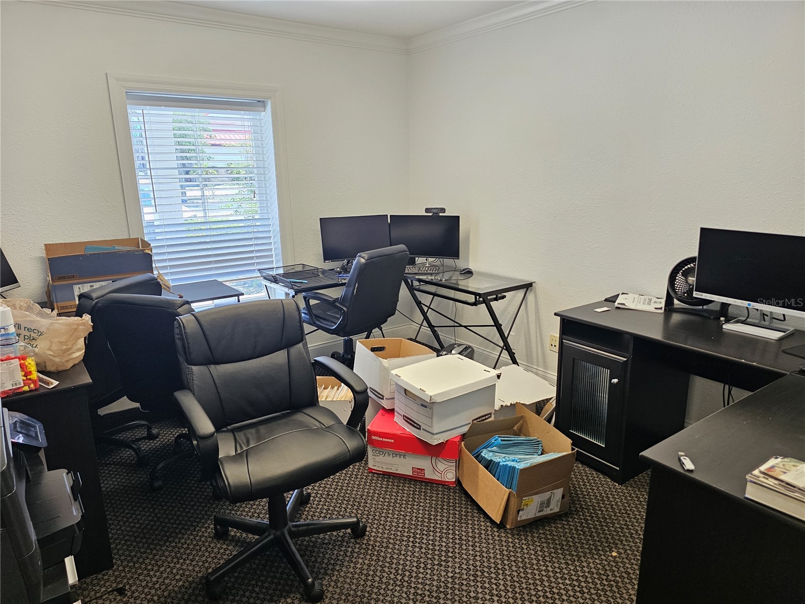 28960 Us Highway 19 N #102 Clearwater FL 33761 TB8525823 image4