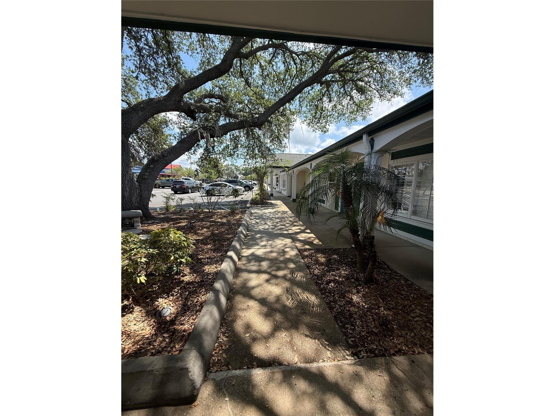 28960 Us Highway 19 N #110 Clearwater FL 33761 TB8508963 image3