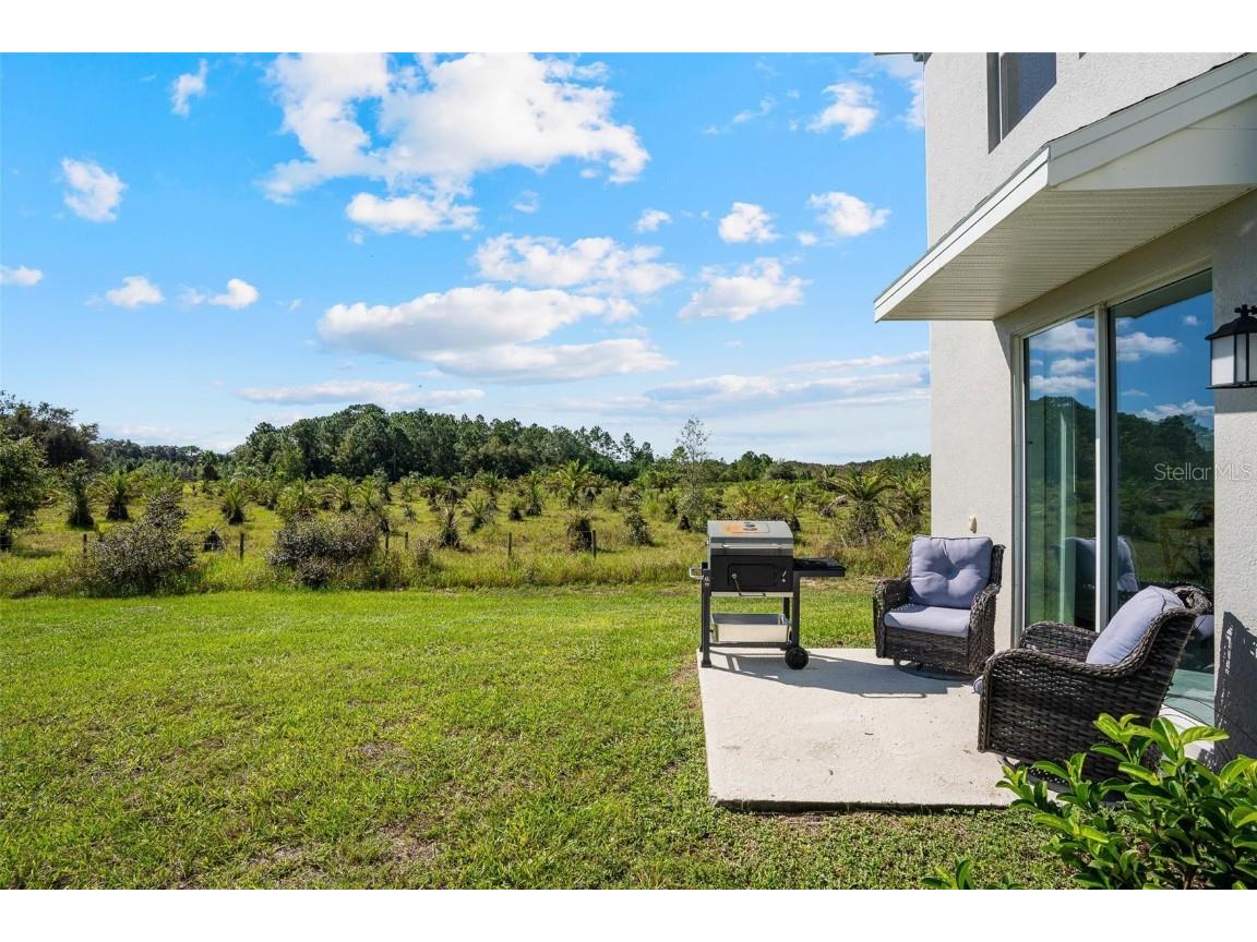 2897 Pierr Street Davenport FL 33837 O6347913 image30