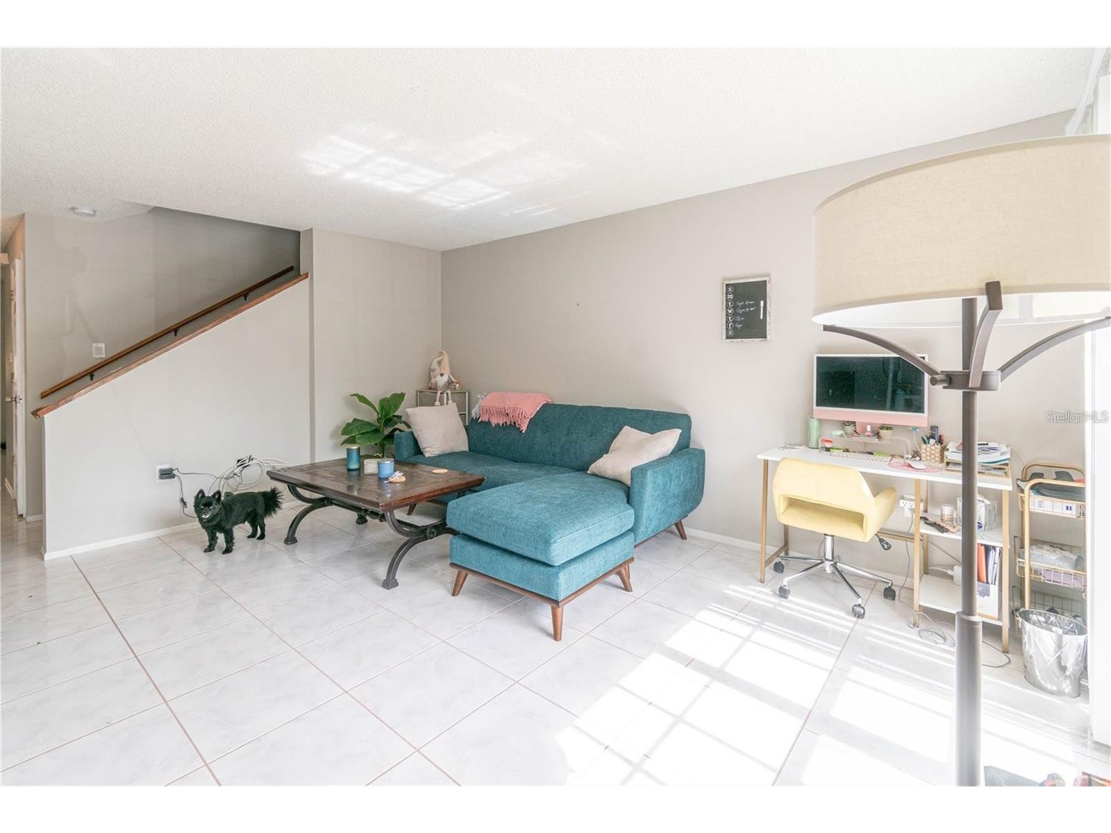 2897 Thaxton Drive #65 Palm Harbor FL 34684 TB8500284 image11