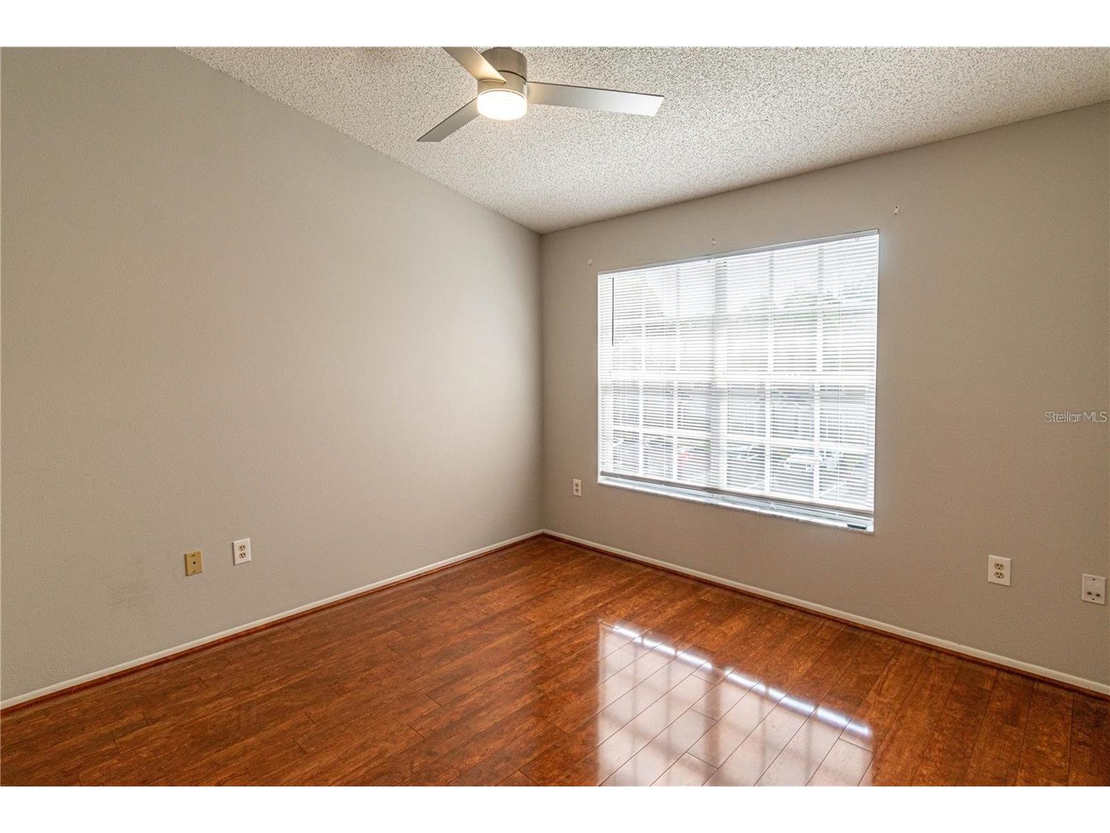 2897 Thaxton Drive #65 Palm Harbor FL 34684 TB8500284 image20