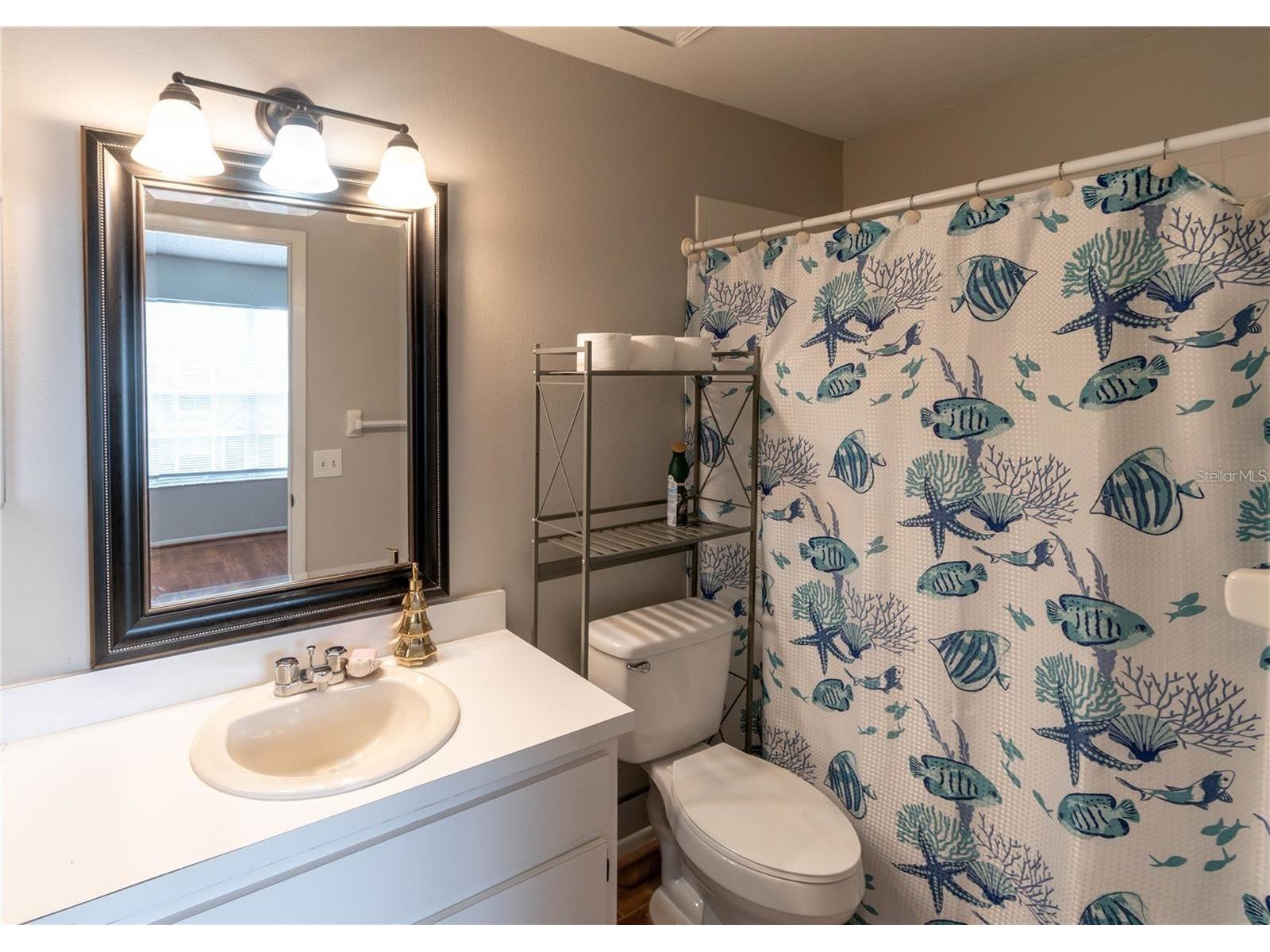 2897 Thaxton Drive #65 Palm Harbor FL 34684 TB8500284 image22