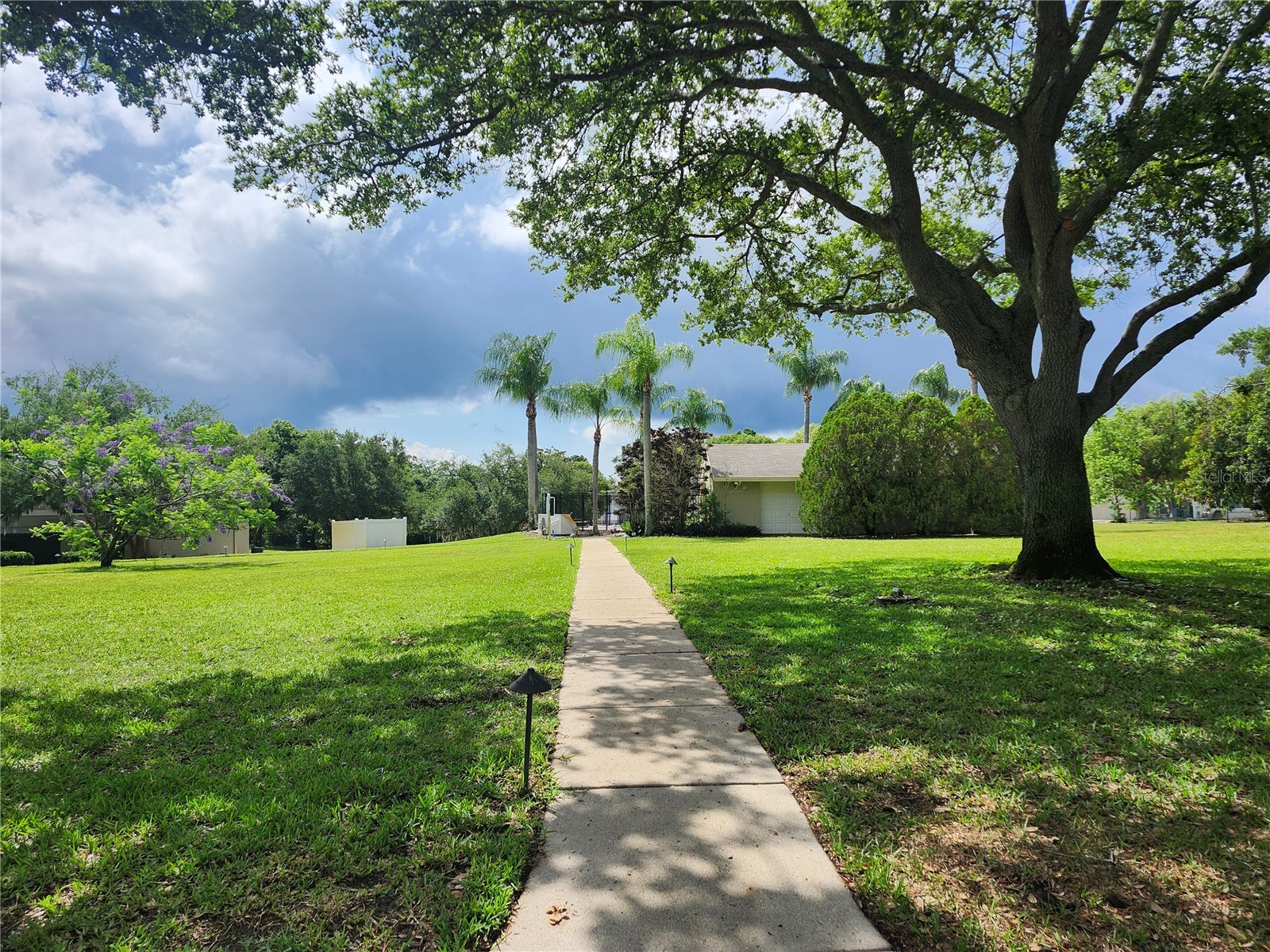 2897 Thaxton Drive #65 Palm Harbor FL 34684 TB8500284 image28