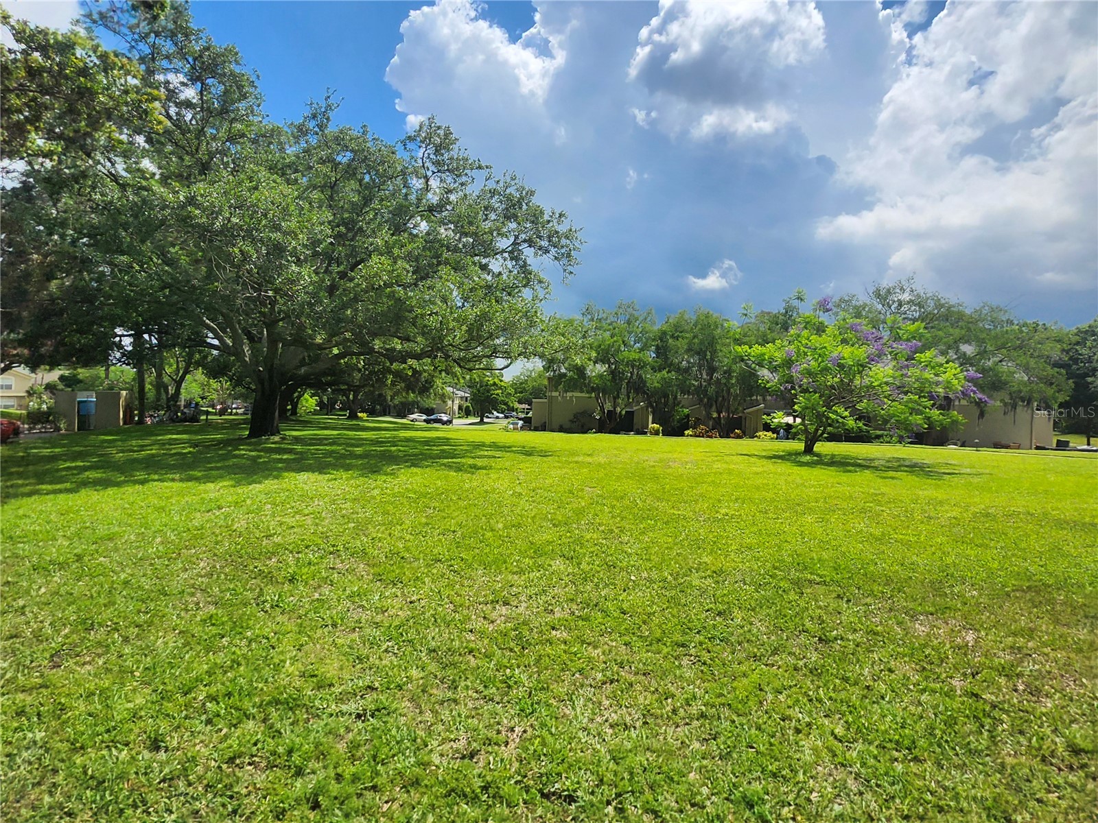 2897 Thaxton Drive #65 Palm Harbor FL 34684 TB8500284 image29