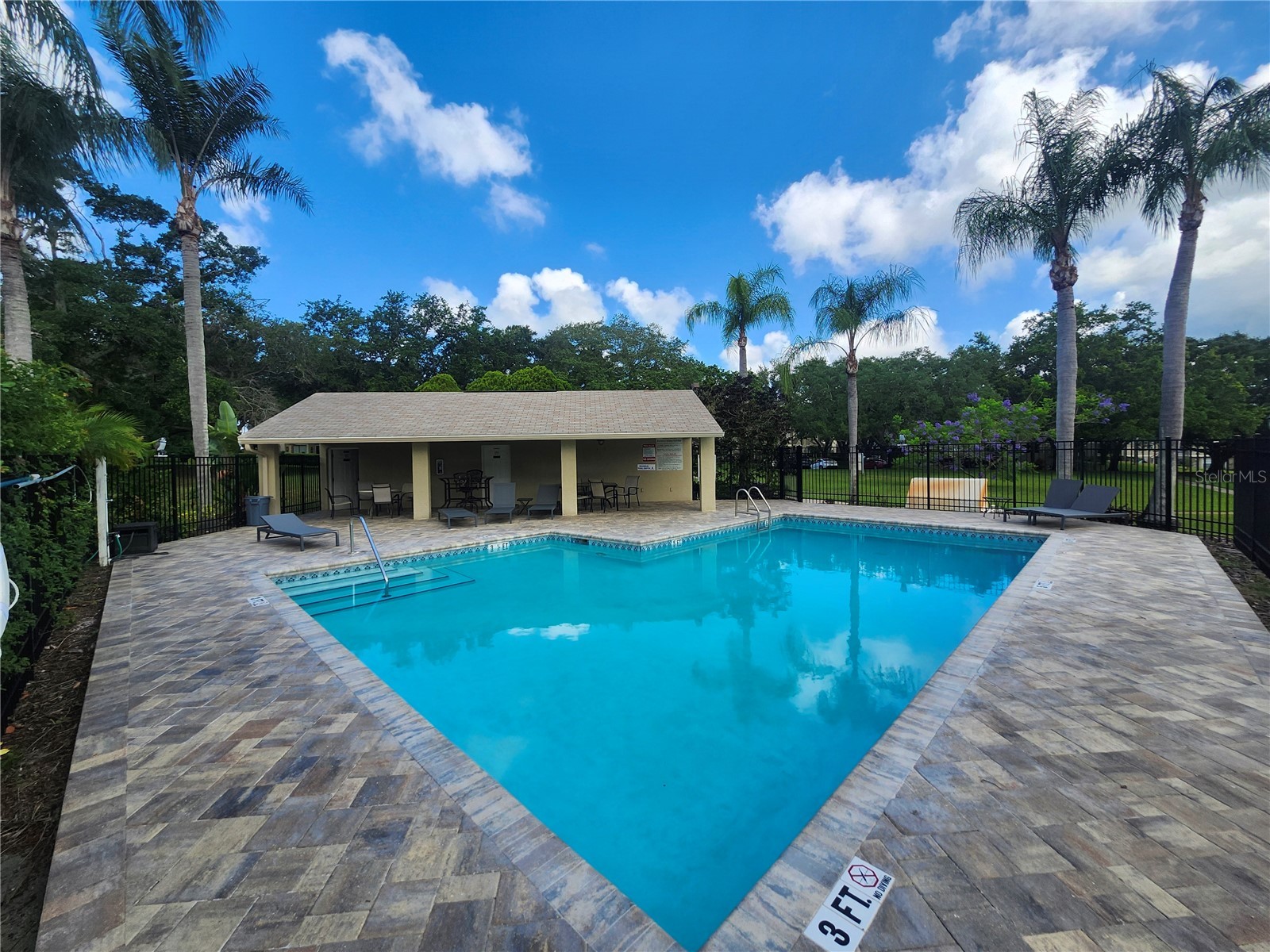 2897 Thaxton Drive #65 Palm Harbor FL 34684 TB8500284 image32