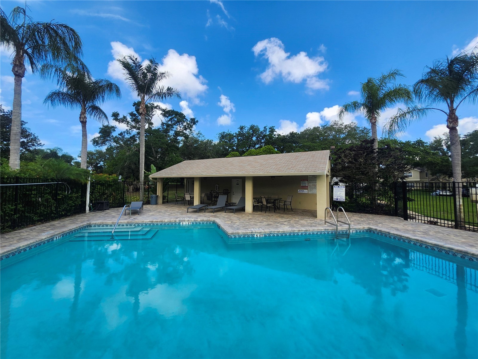 2897 Thaxton Drive #65 Palm Harbor FL 34684 TB8500284 image33
