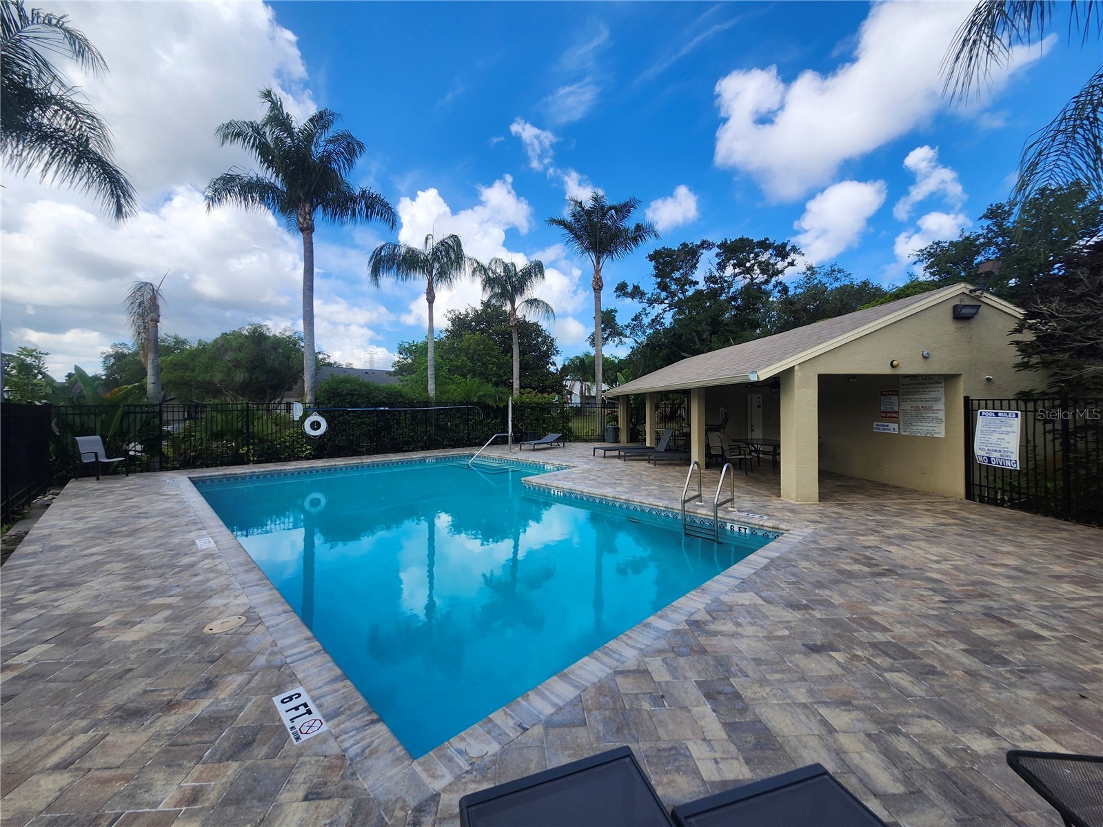 2897 Thaxton Drive #65 Palm Harbor FL 34684 TB8500284 image34
