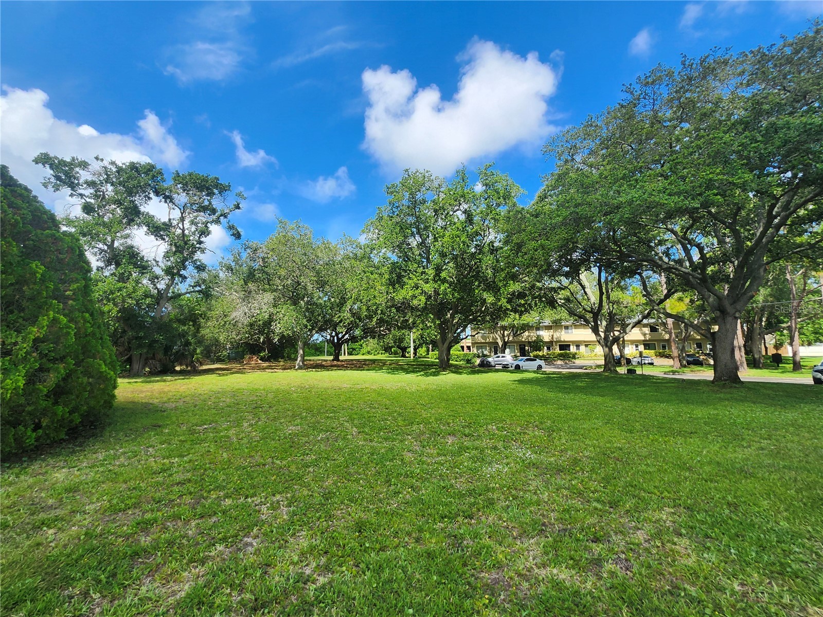 2897 Thaxton Drive #65 Palm Harbor FL 34684 TB8500284 image35