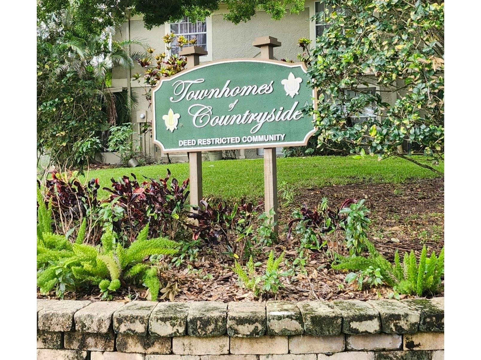 2897 Thaxton Drive #65 Palm Harbor FL 34684 TB8500284 image36