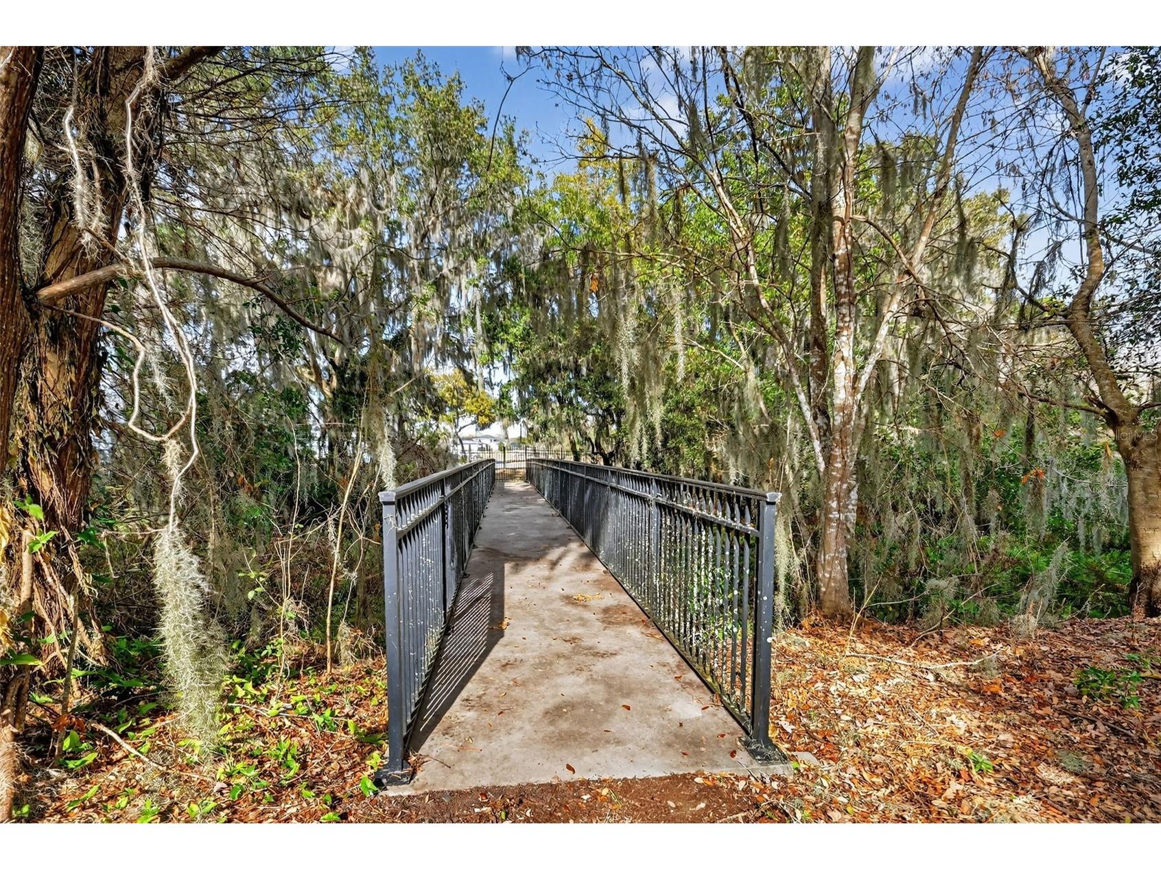 2898 Ann Rou Road Tavares FL 32778 - LAKE EUSTIS G5108294 image59