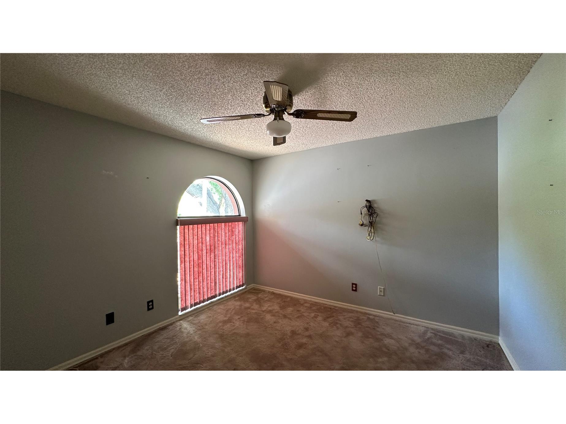 2898 Hammock Drive Plant City FL 33566 L4962018 image15