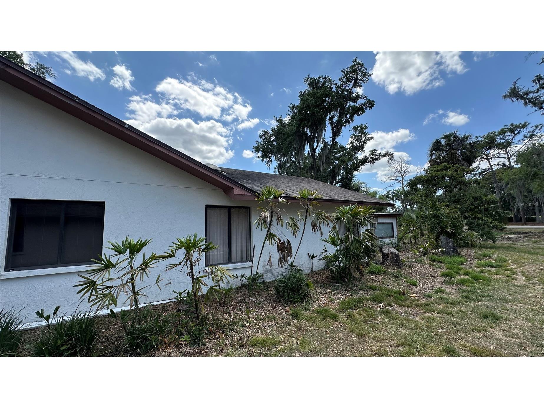 2898 Hammock Drive Plant City FL 33566 L4962018 image29