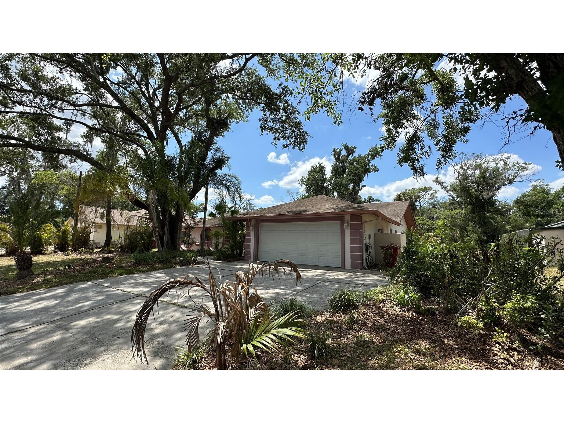 2898 Hammock Drive Plant City FL 33566 L4962018 image3