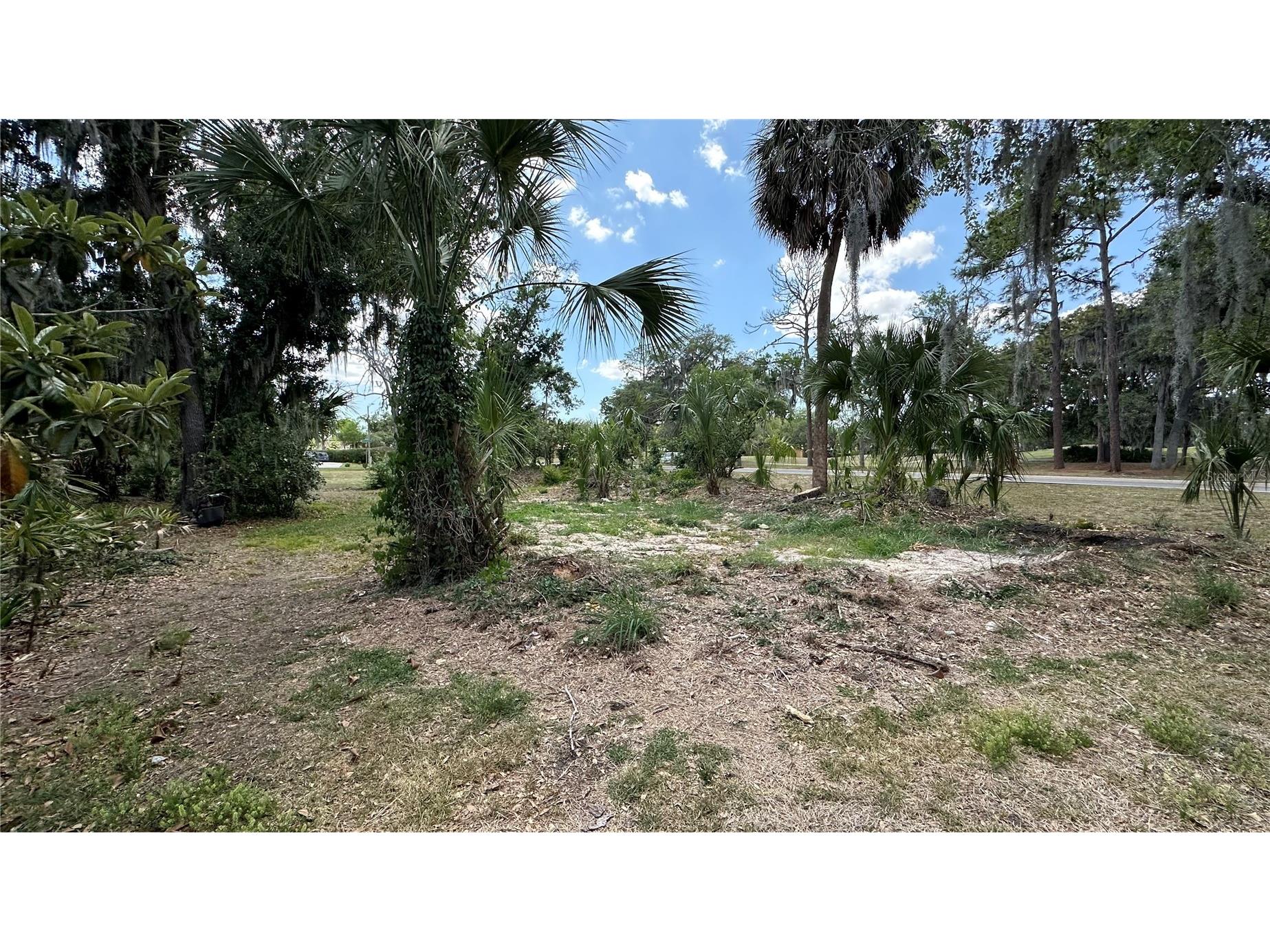 2898 Hammock Drive Plant City FL 33566 L4962018 image33