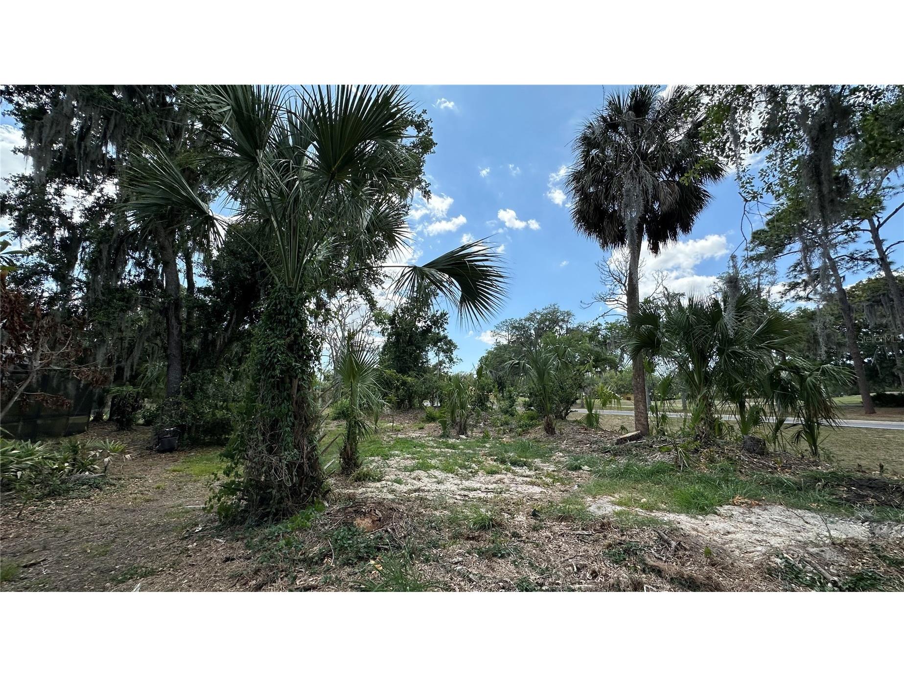 2898 Hammock Drive Plant City FL 33566 L4962018 image34