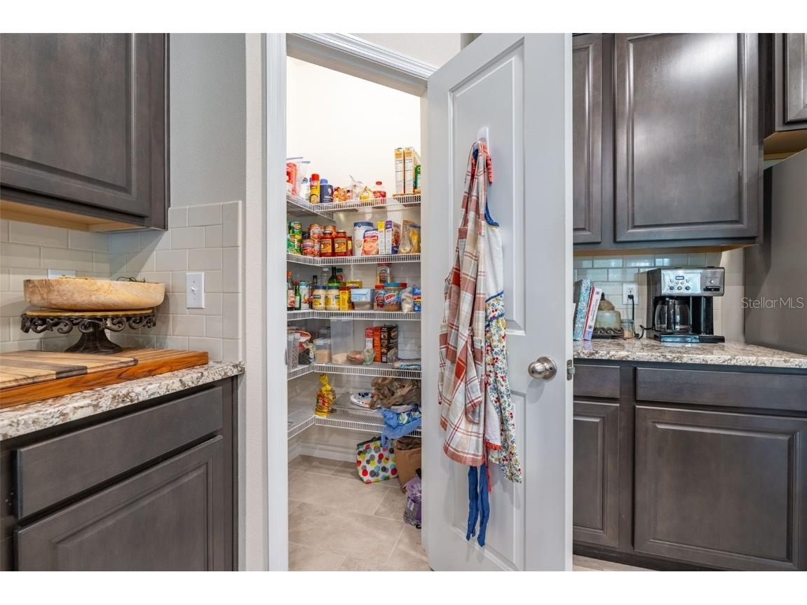 2898 Living Coral Drive Odessa FL 33556 TB8392789 image20