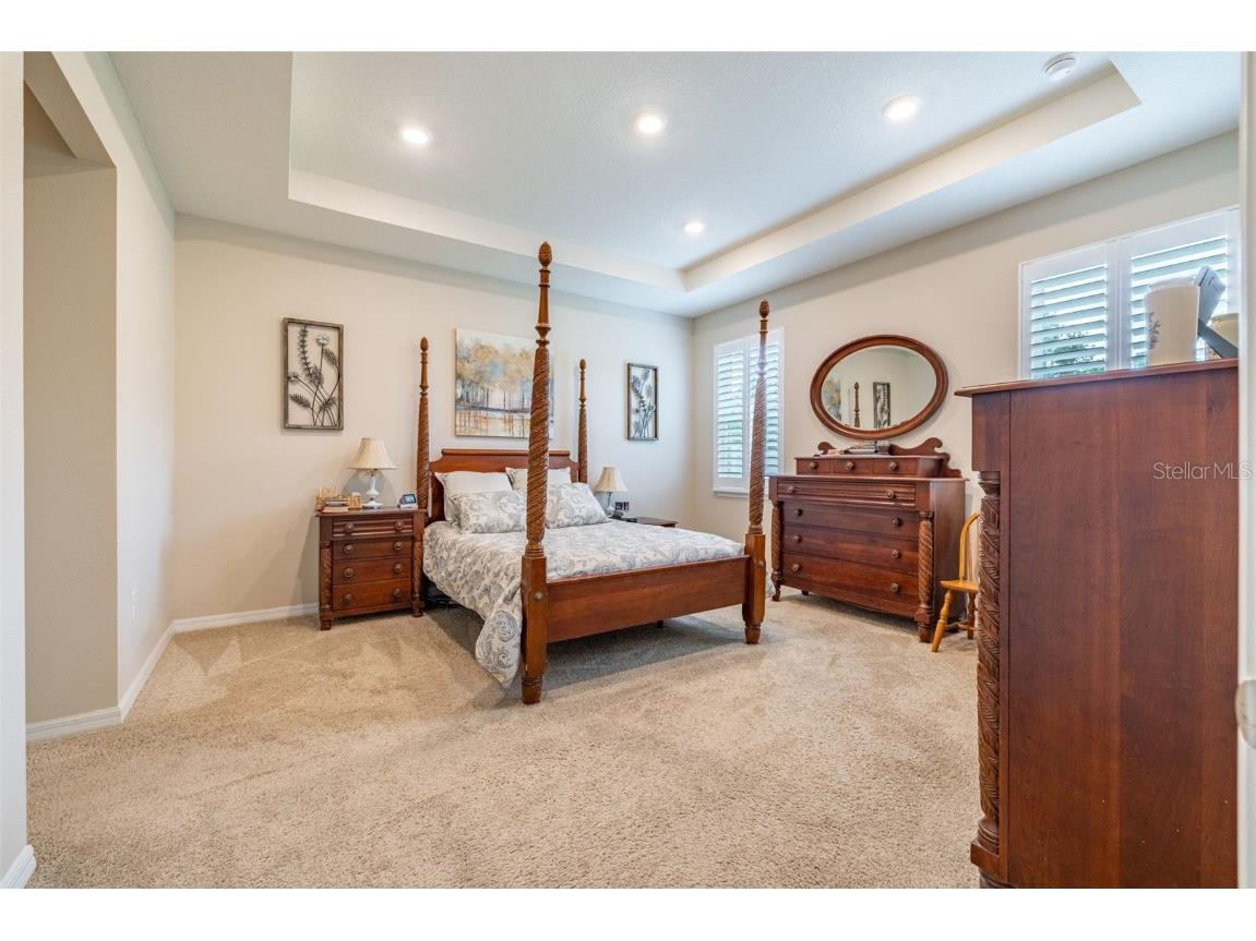 2898 Living Coral Drive Odessa FL 33556 TB8392789 image21