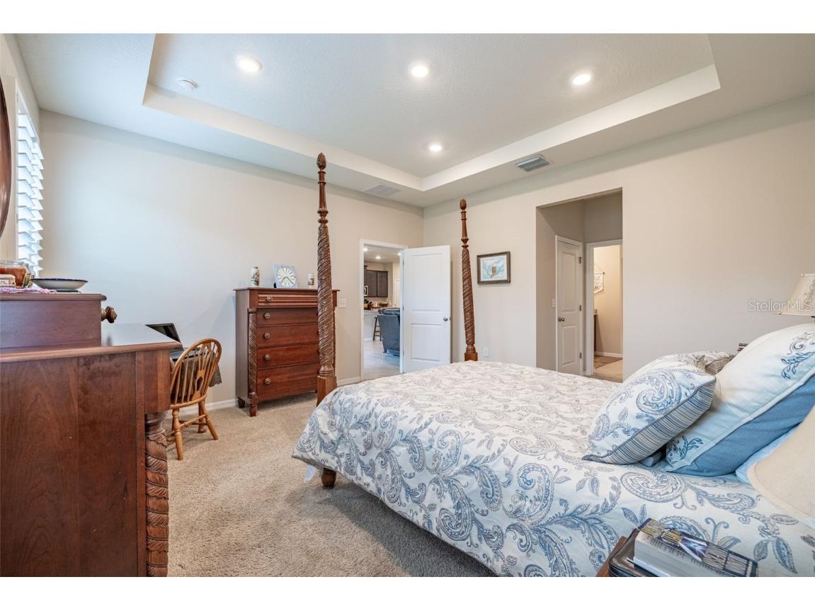 2898 Living Coral Drive Odessa FL 33556 TB8392789 image22