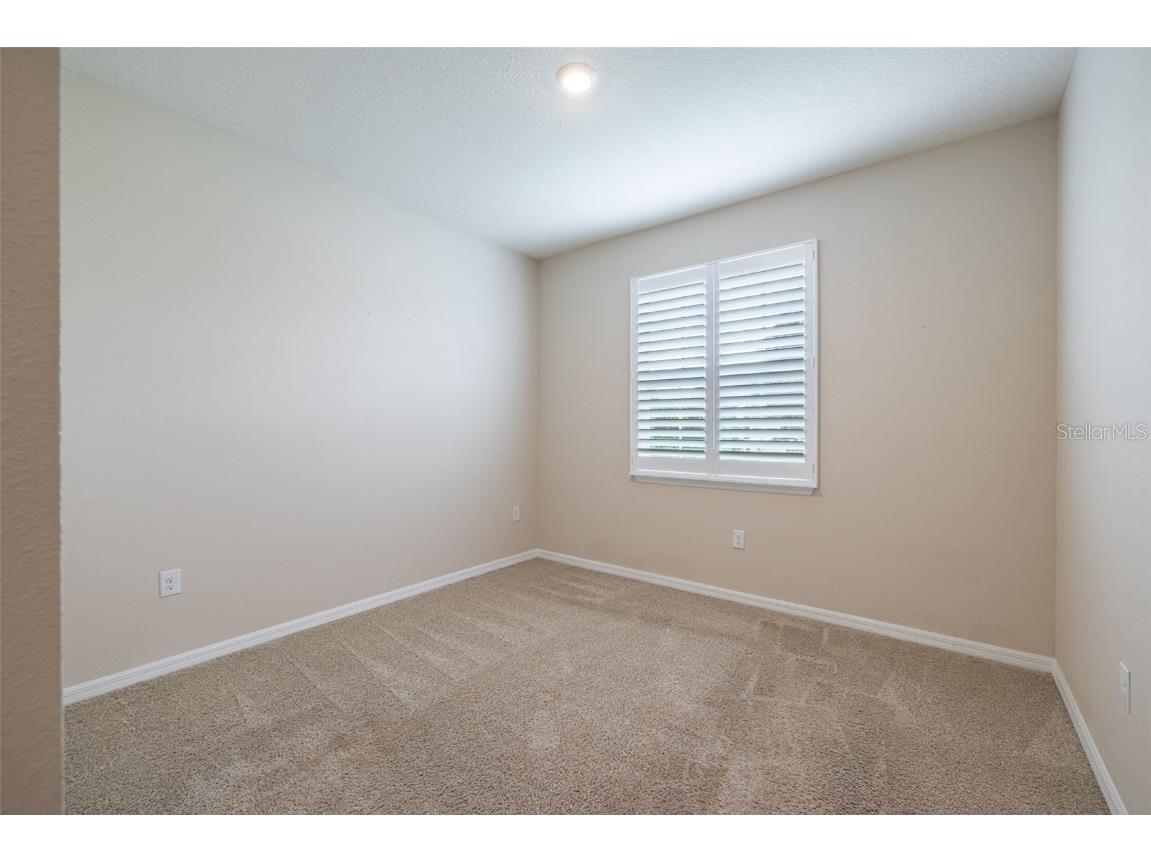 2898 Living Coral Drive Odessa FL 33556 TB8392789 image25