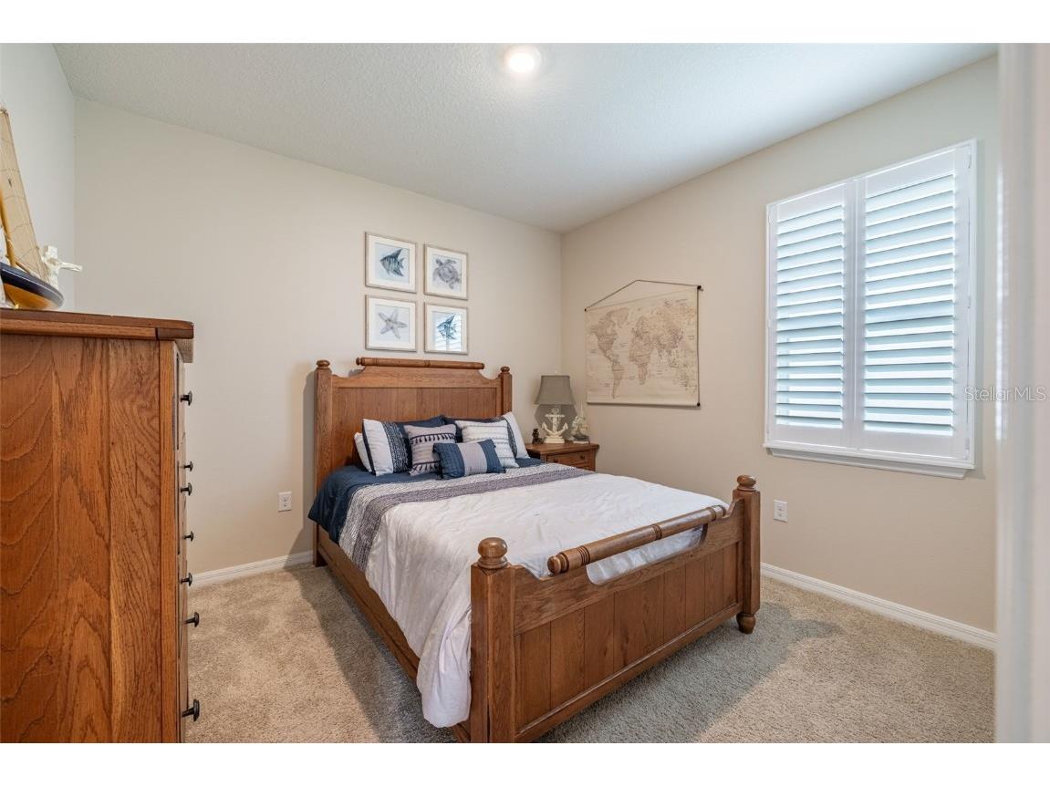 2898 Living Coral Drive Odessa FL 33556 TB8392789 image27