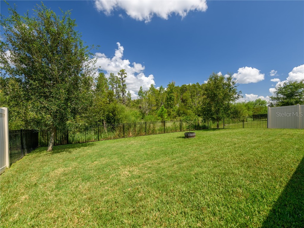 2898 Living Coral Drive Odessa FL 33556 TB8392789 image3