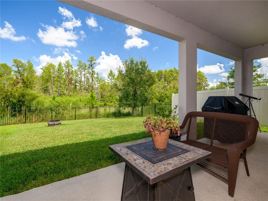 2898 Living Coral Drive Odessa FL 33556 TB8392789 image34