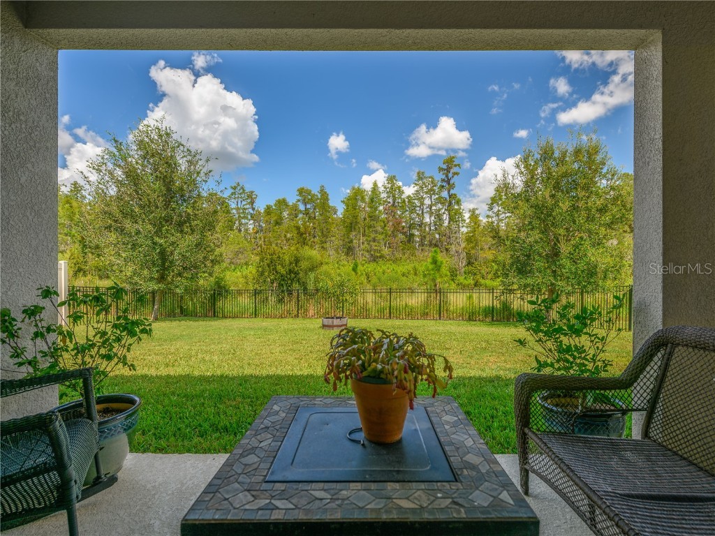 2898 Living Coral Drive Odessa FL 33556 TB8392789 image35