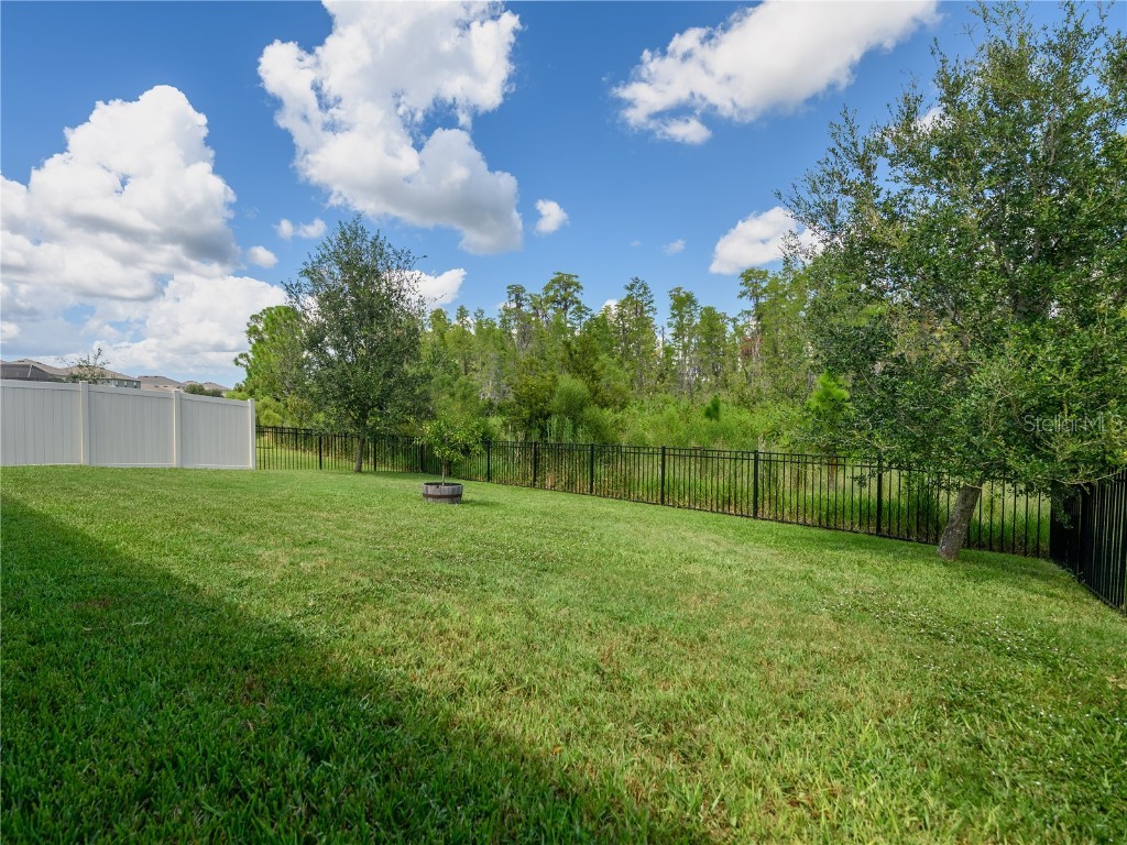 2898 Living Coral Drive Odessa FL 33556 TB8392789 image36