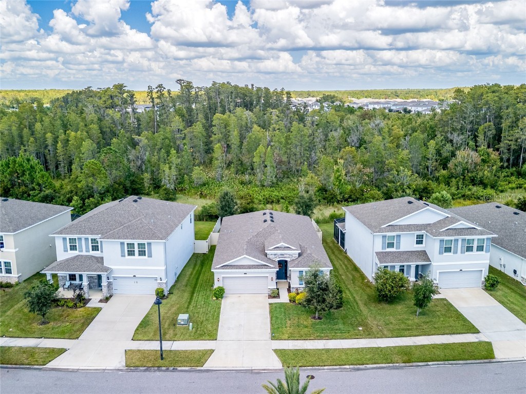 2898 Living Coral Drive Odessa FL 33556 TB8392789 image6