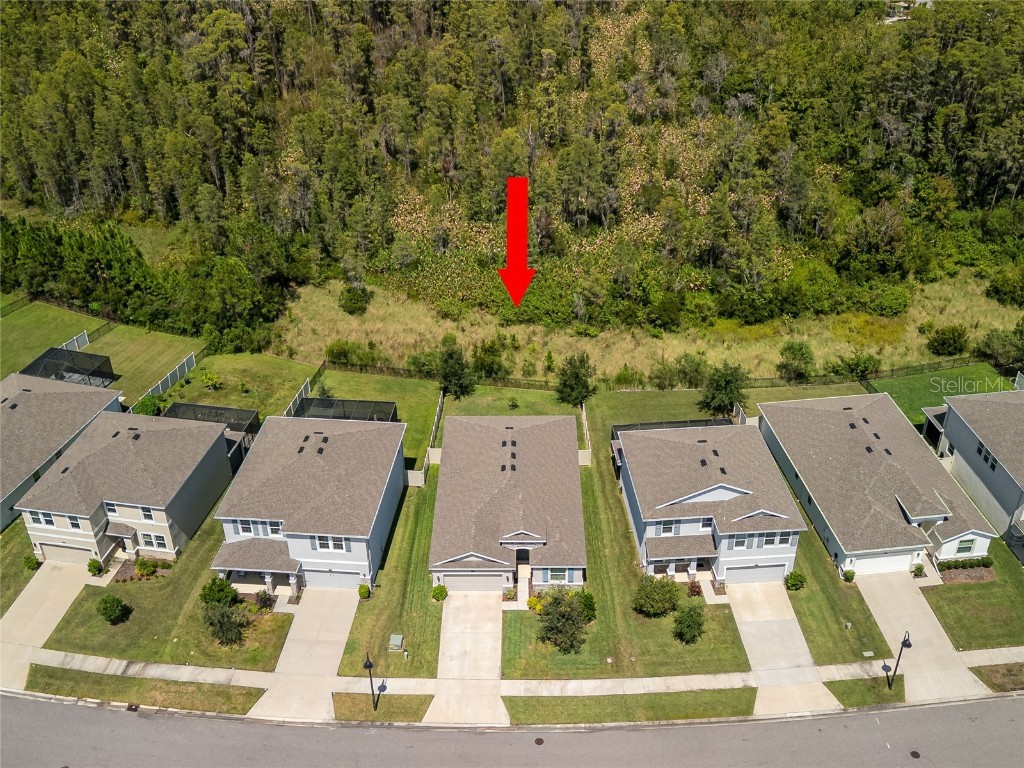 2898 Living Coral Drive Odessa FL 33556 TB8392789 image7