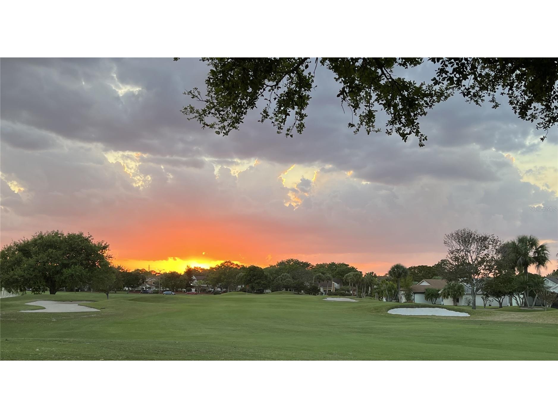 2899 Autumn Green Drive Orlando FL 32822 S5150288 image16