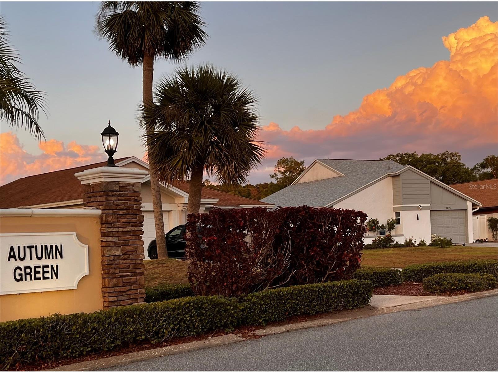 2899 Autumn Green Drive Orlando FL 32822 S5150288 image17