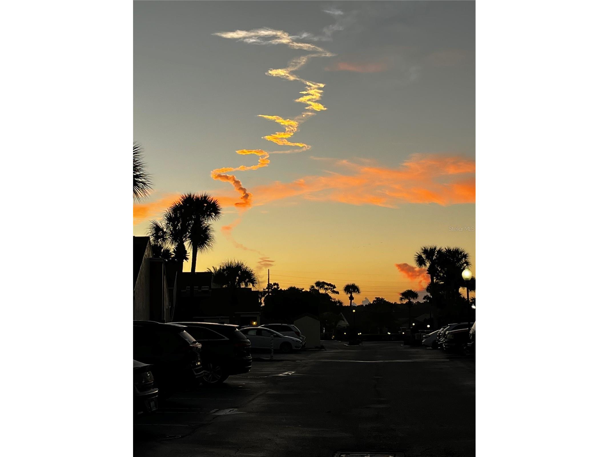 2899 Autumn Green Drive Orlando FL 32822 S5150288 image18