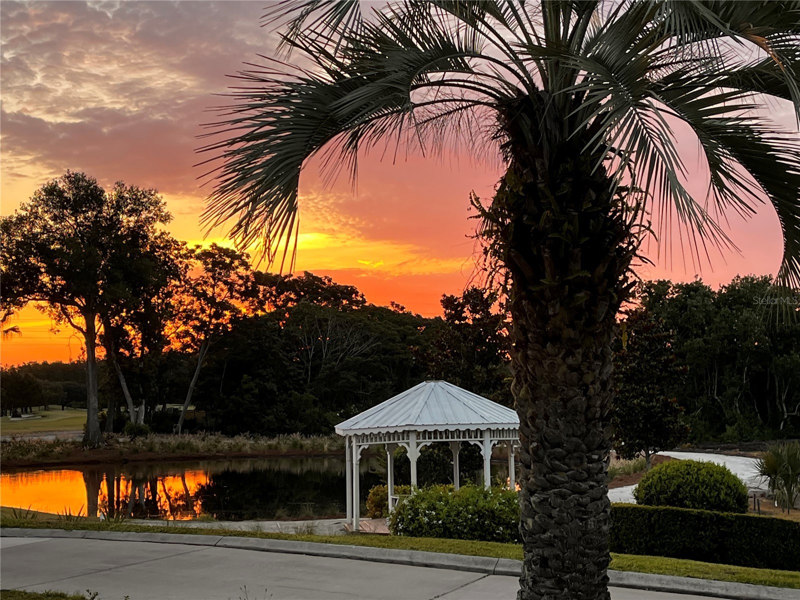 2899 Autumn Green Drive Orlando FL 32822 S5150288 image23