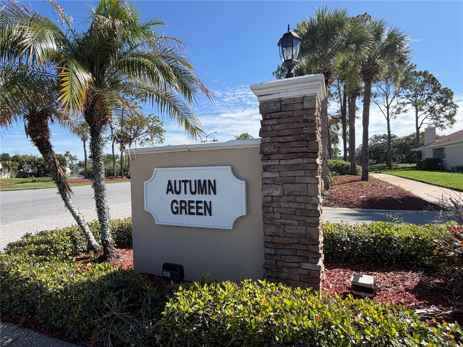 2899 Autumn Green Drive Orlando FL 32822 S5150288 image26