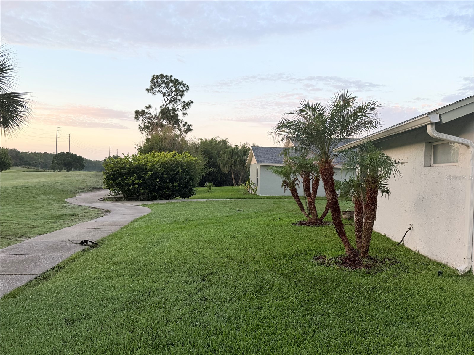 2899 Autumn Green Drive Orlando FL 32822 S5150288 image33