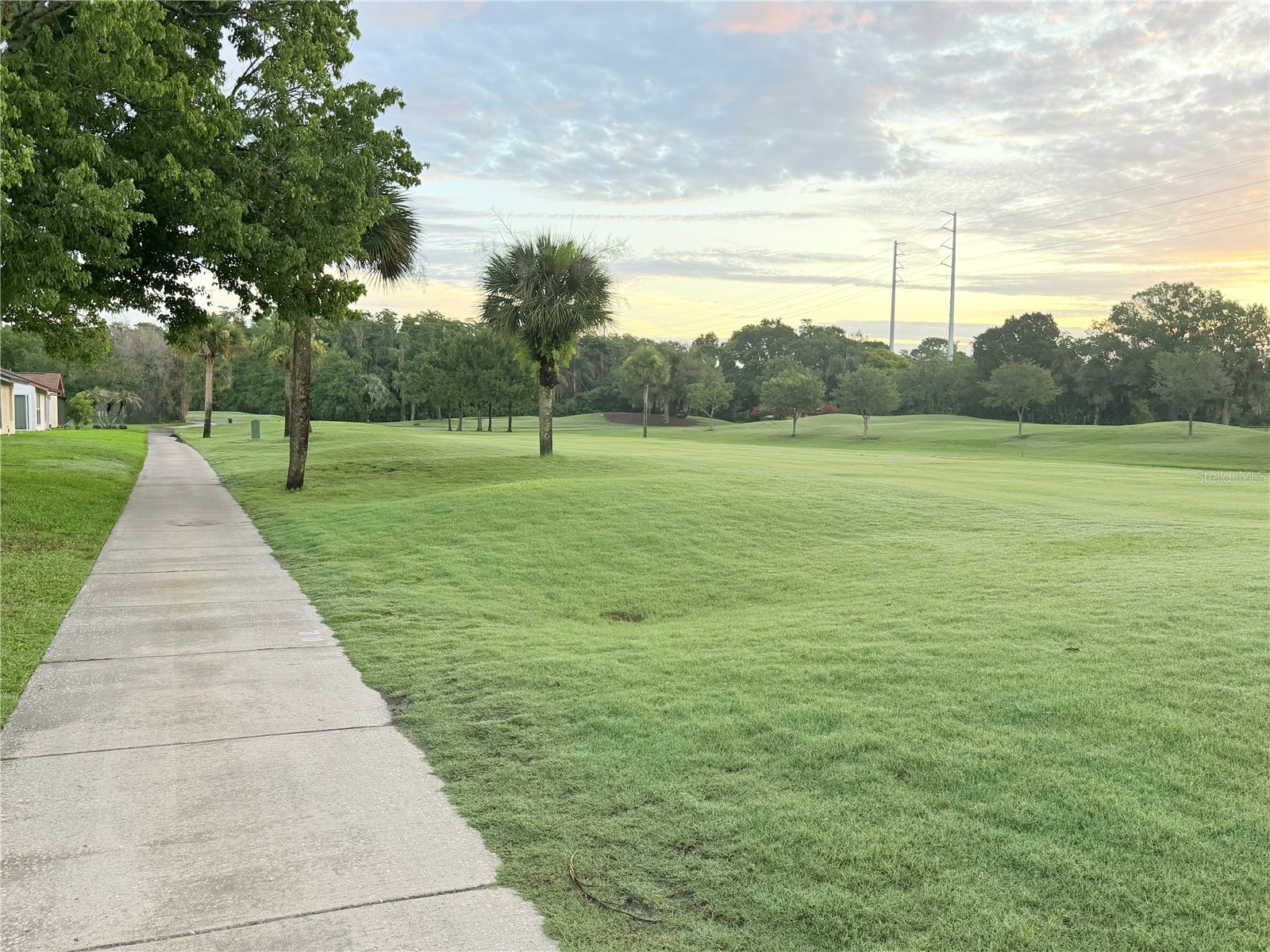 2899 Autumn Green Drive Orlando FL 32822 S5150288 image35