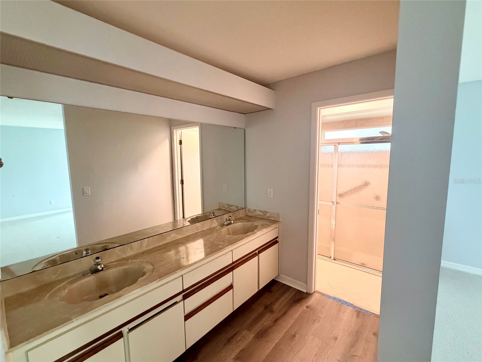 2899 Autumn Green Drive Orlando FL 32822 S5150288 image47