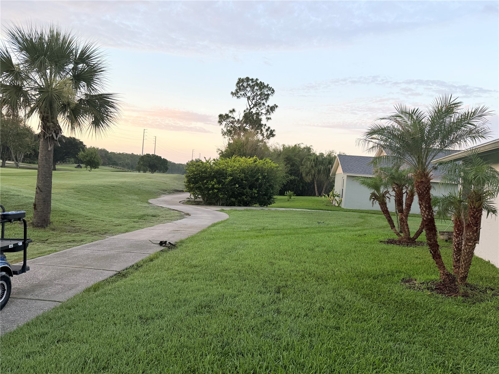 2899 Autumn Green Drive Orlando FL 32822 S5150288 image62