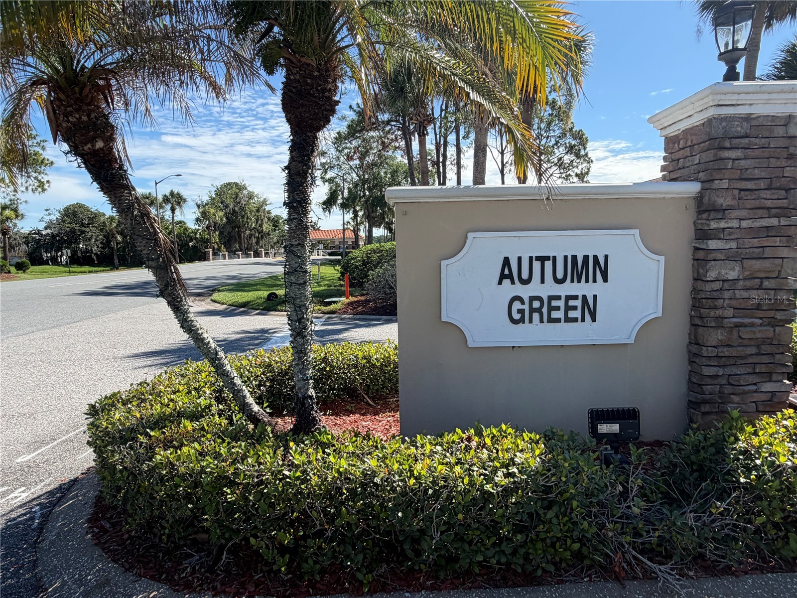 2899 Autumn Green Drive Orlando FL 32822 S5150288 image69