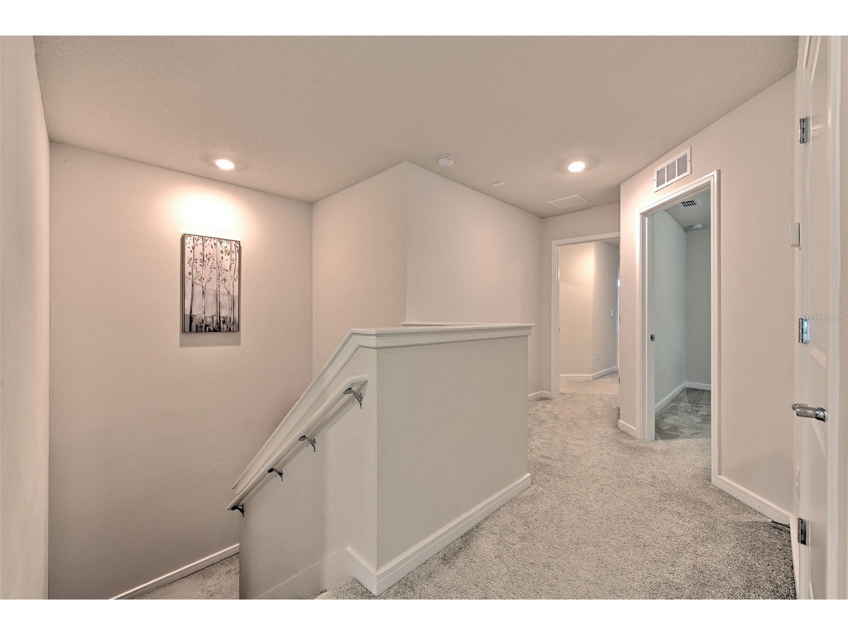 2899 Deer Pine Trail Land O Lakes FL 34638 TB8513279 image24